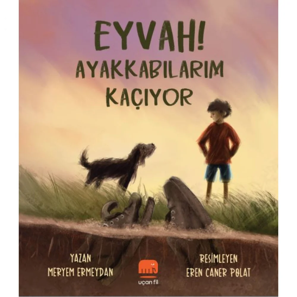 Eyvah Ayakkabılarım Kaçıyor — cover