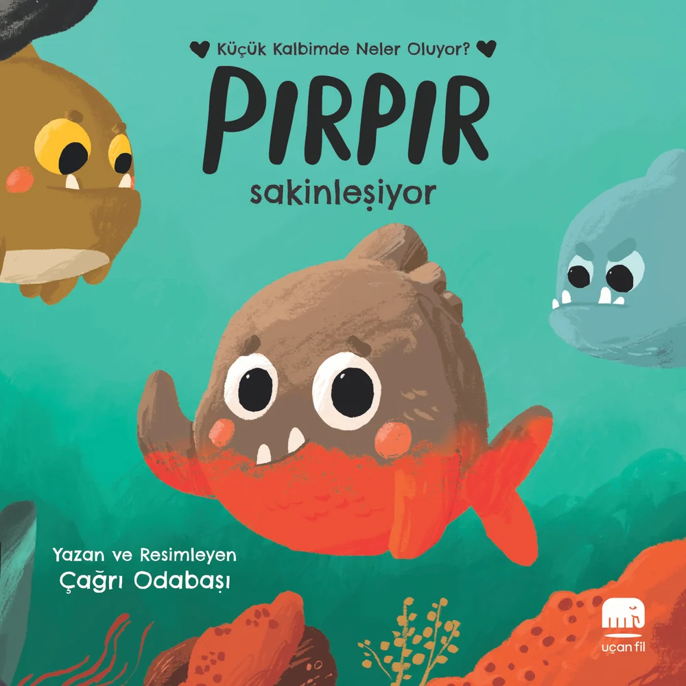 Pırpır Sakinleşiyor — cover