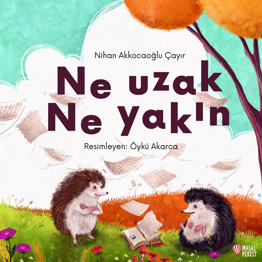 Ne Uzak Ne Yakın — cover