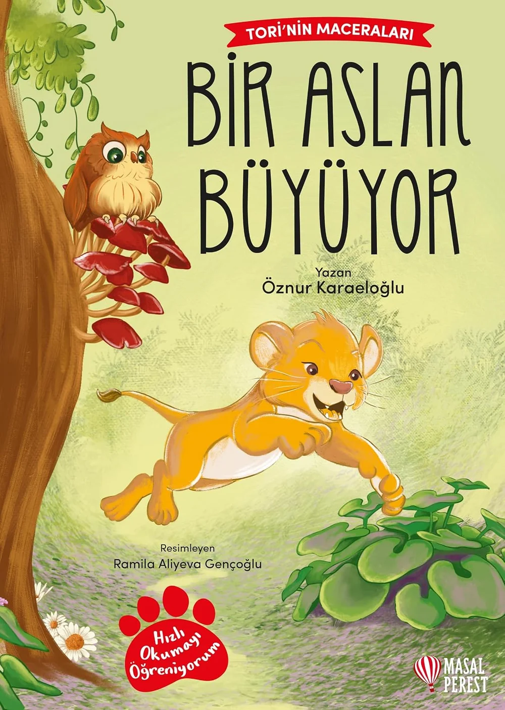 Bir Aslan Büyüyor — cover