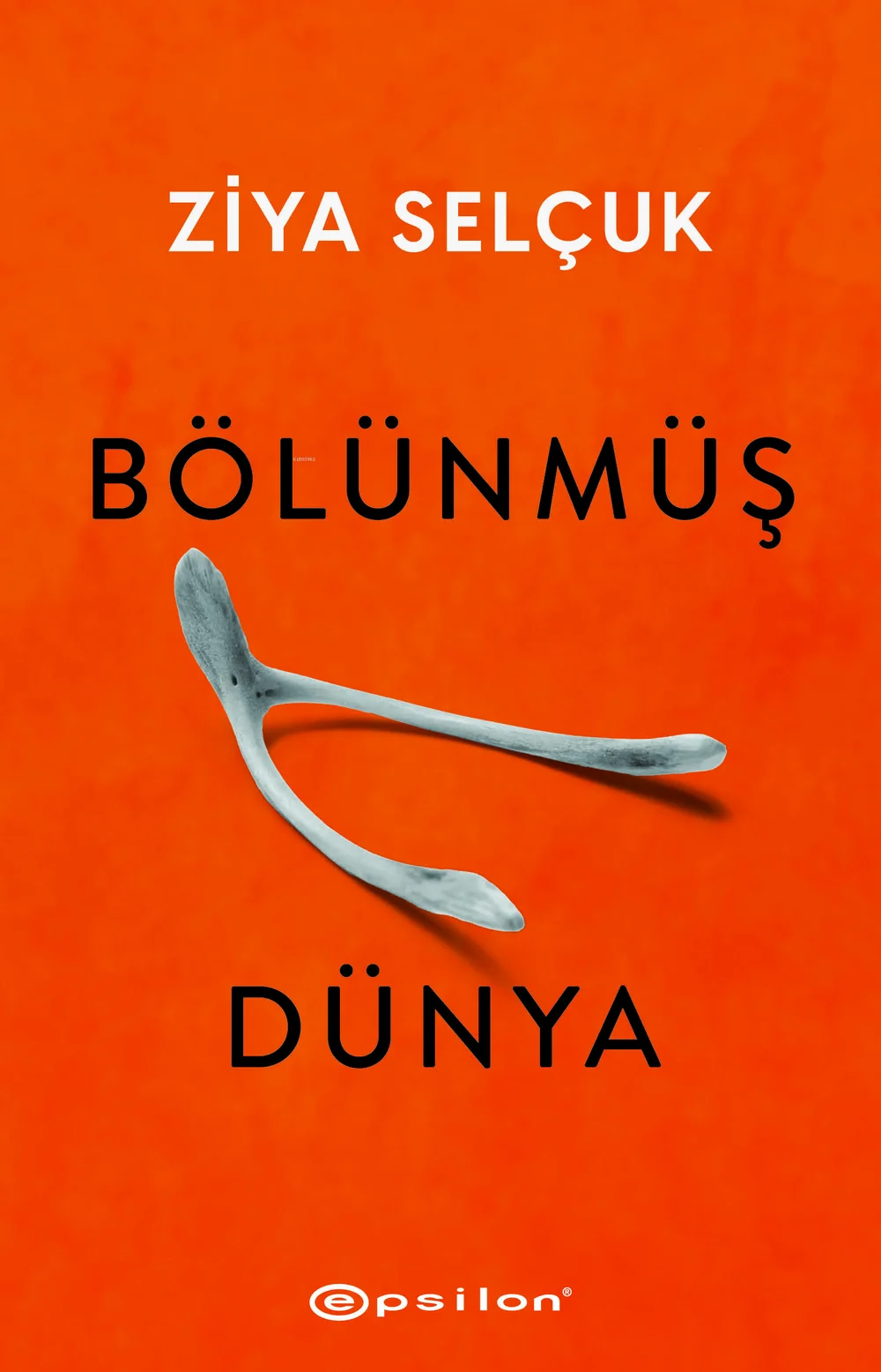 Bölünmüş Dünya — cover